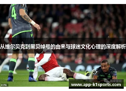 从维尔贝克到黑贝绰号的由来与球迷文化心理的深度解析 从维尔贝克到黑贝绰号的由来与球迷文化心理的深度解析