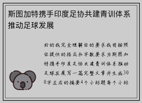 斯图加特携手印度足协共建青训体系推动足球发展